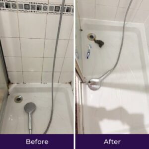 NuroClean Mold Remover Benefits